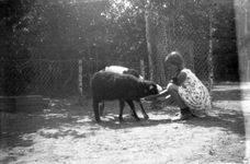 805432 Afbeelding van de jonge Mary Balfour van Burleigh bij enkele dieren in Ouwehands Dierenpark aan de Grebbeweg te ...